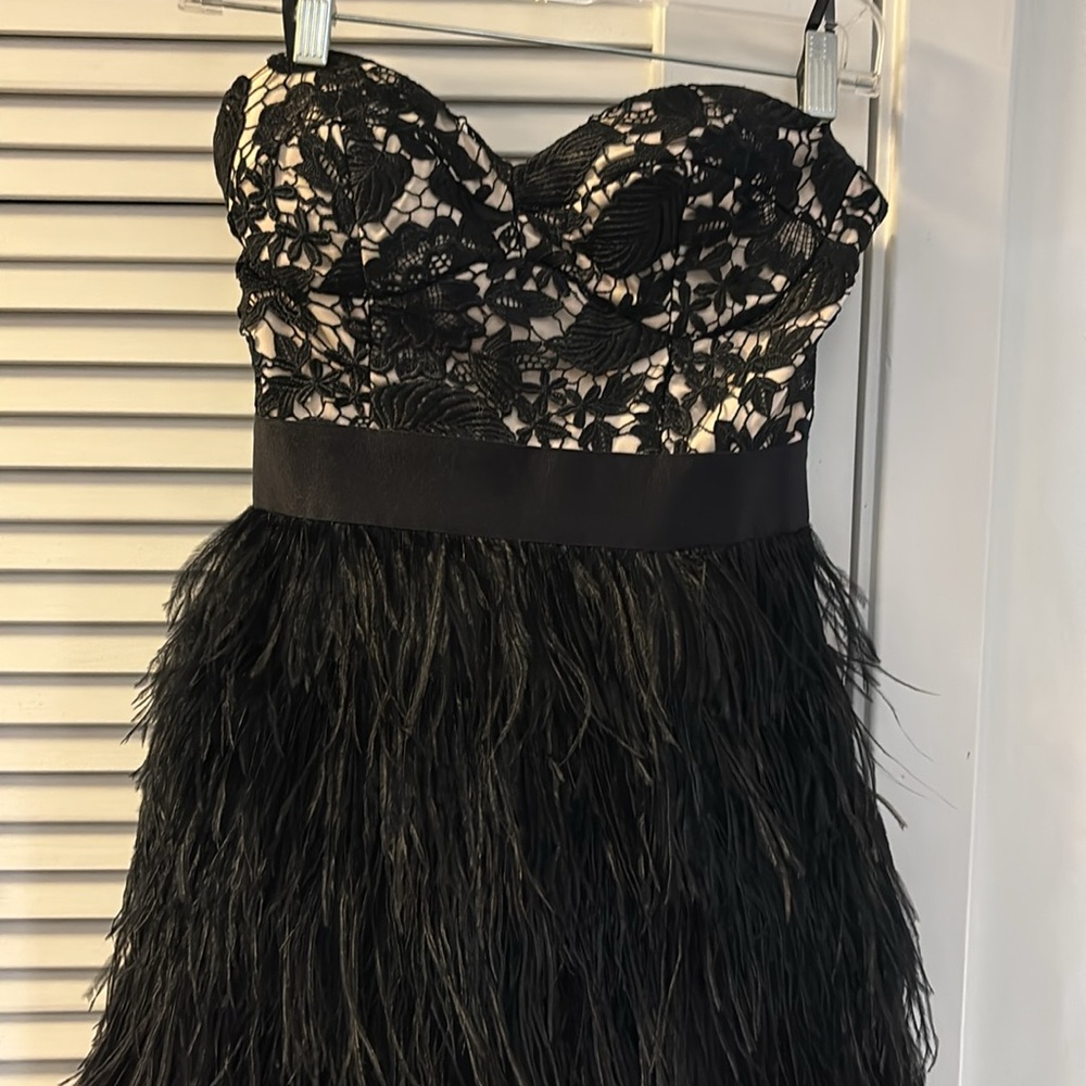 Black Lace and Feather Dress